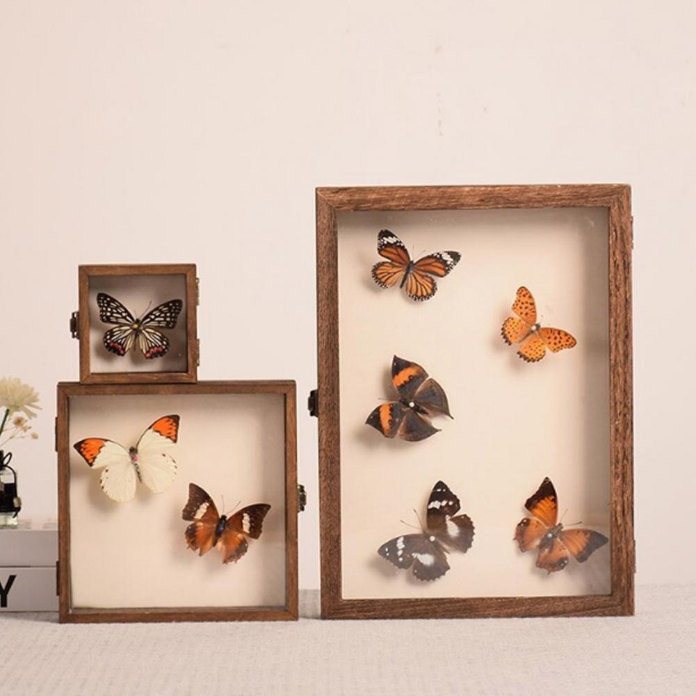 Insect Hotel Wood - Wooden Display Case Butterfly Shadow Box