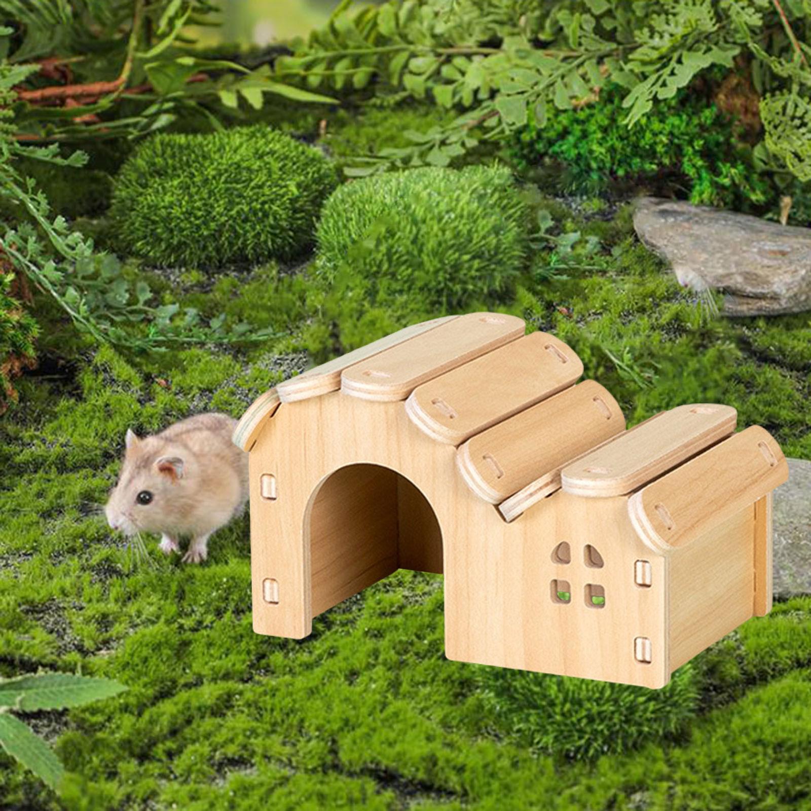 Hamster Wooden House Hideaway  - Insect Hotel Wood 评论和价格