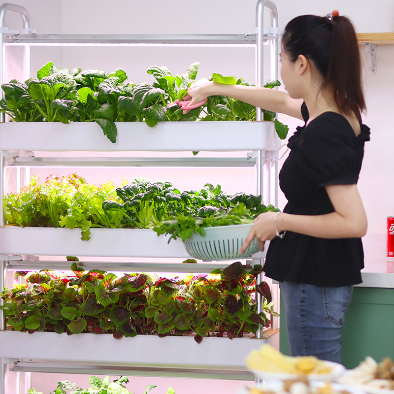 Smart Indoor Garden Hydroponic - Smart Garden Stackable Planters 评论和价格