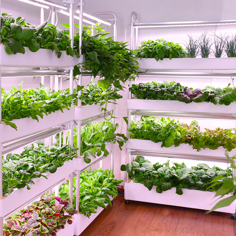 Smart Indoor Garden Hydroponic - Smart Garden Stackable Planters 评论和价格