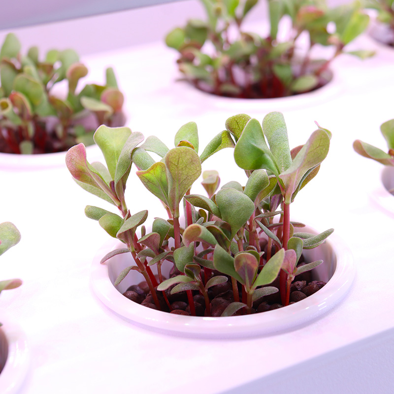 Smart Indoor Garden Hydroponic - Smart Garden Stackable Planters 评论和价格