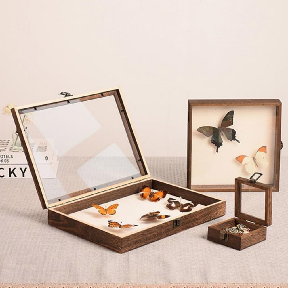 Wooden Display Case Butterfly  - Insect Hotel Wood 评论和价格