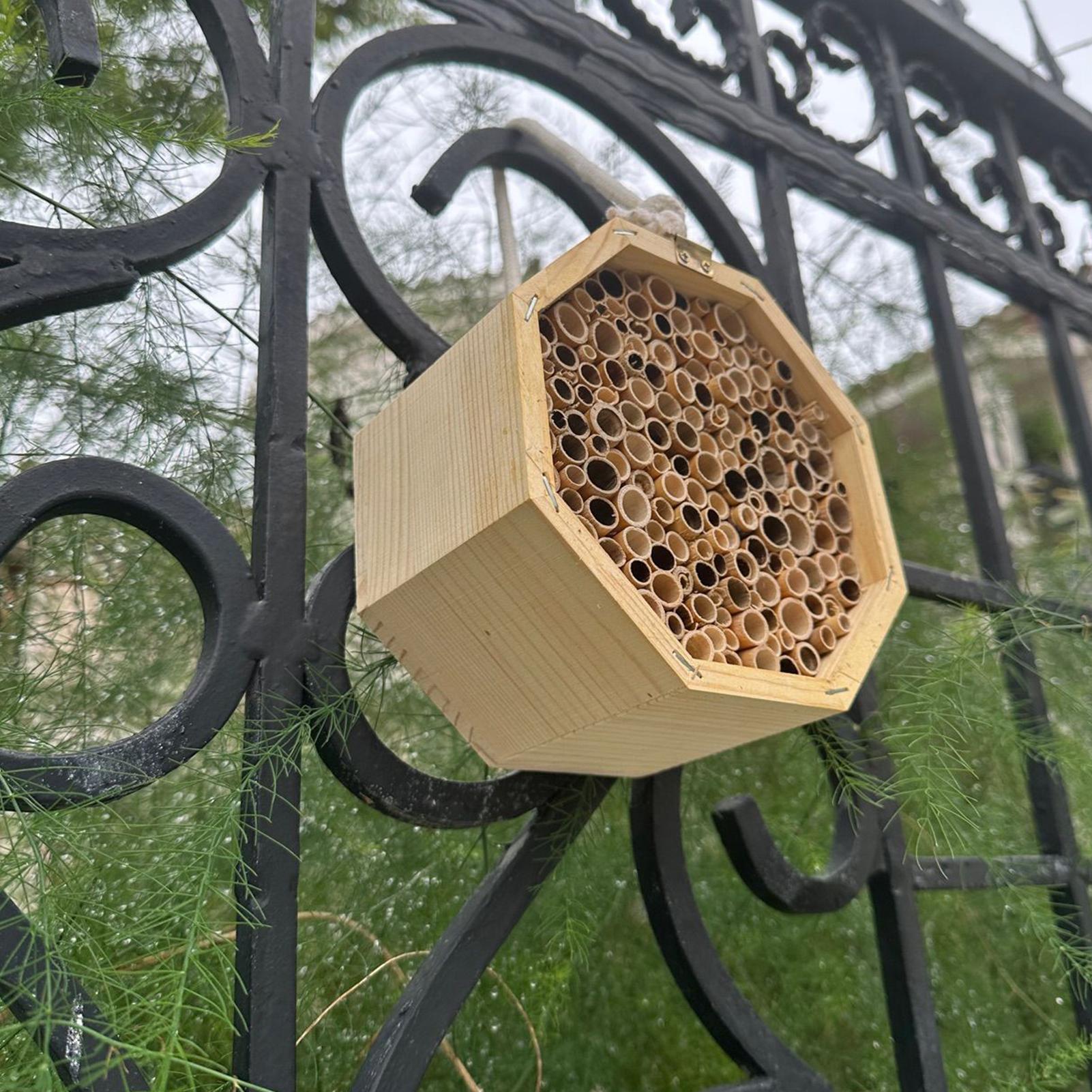 Wooden Insect Bee House Wood B - Insect Hotel Wood 评论和价格