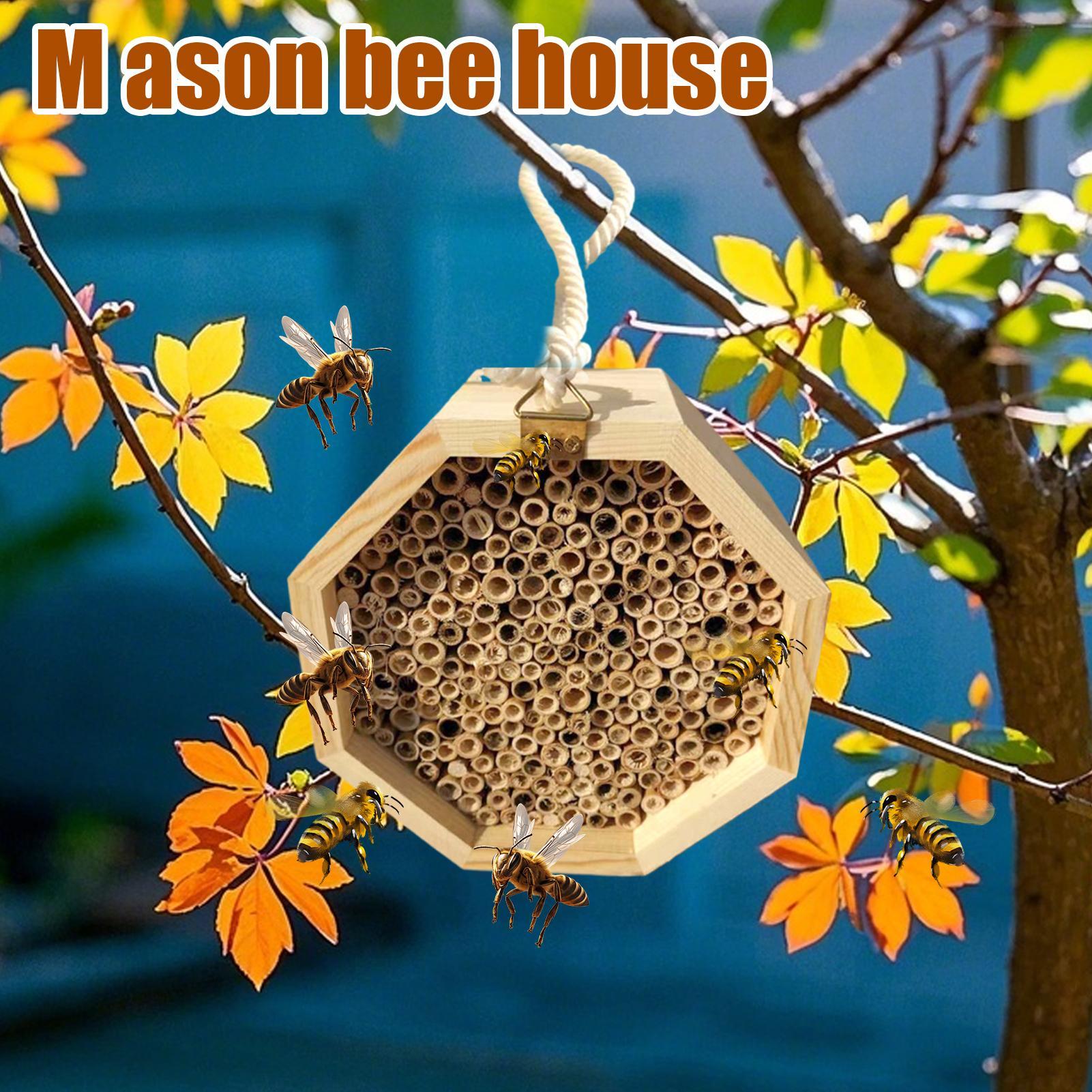 Wooden Insect Bee House Wood B - Insect Hotel Wood 评论和价格