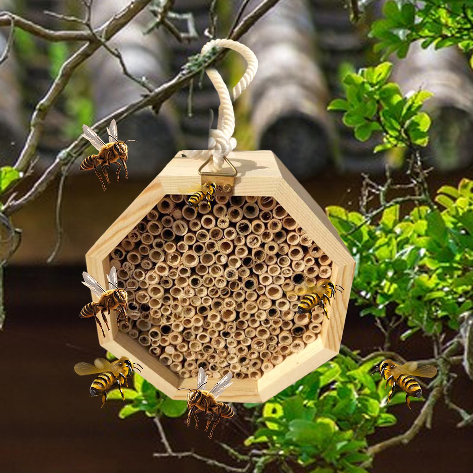 Wooden Insect Bee House Wood B - Insect Hotel Wood 评论和价格