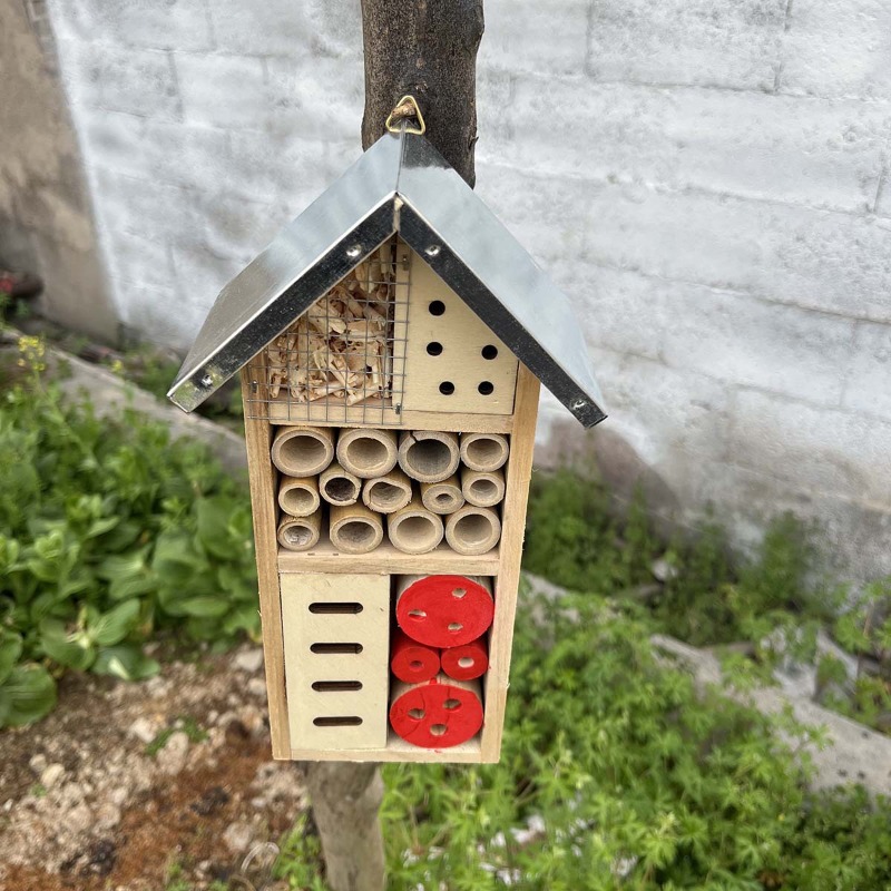 Insect House Wooden Insect Hot - Insect Hotel Wood 评论和价格